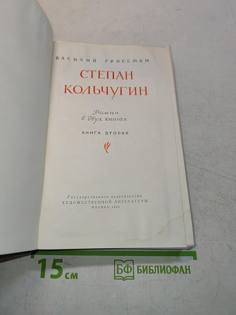 Степан Кольчугин. Книга вторая