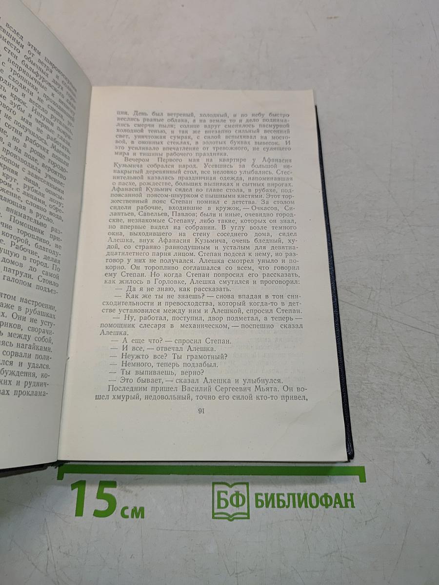 Степан Кольчугин. Книга вторая