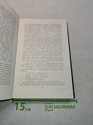 Степан Кольчугин. Книга вторая