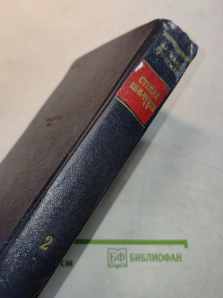 Степан Кольчугин. Книга вторая