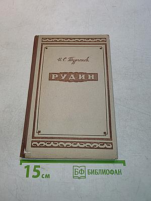 Рудин