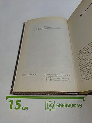 Княжна Острожская. Капитан гренадерской роты