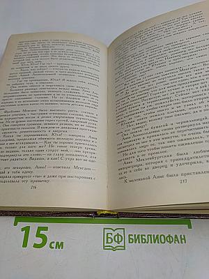 Княжна Острожская. Капитан гренадерской роты