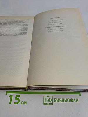 Княжна Острожская. Капитан гренадерской роты