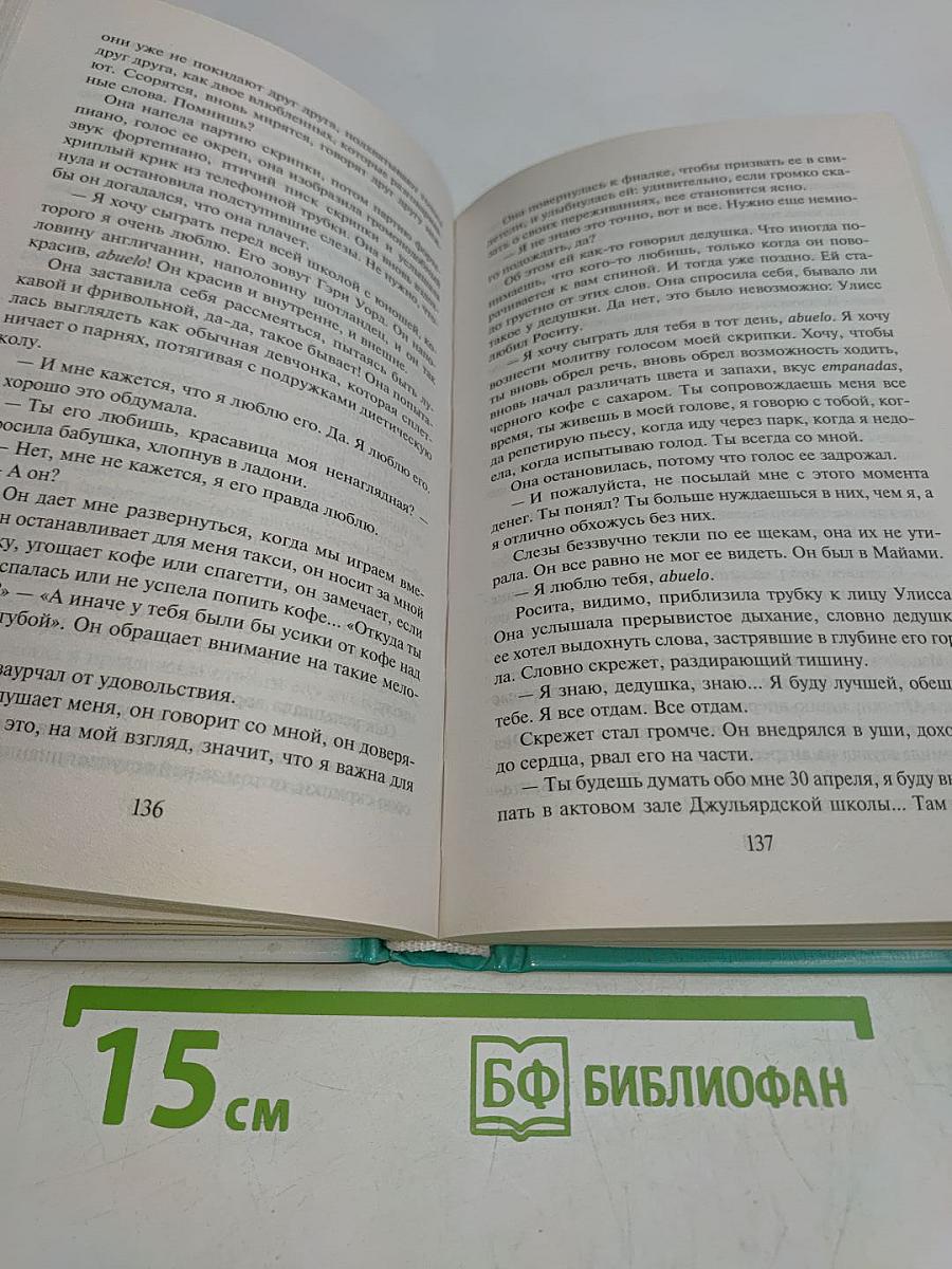 Гортензия в маленьком черном платье