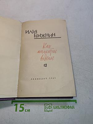 Как мимолетное виденье