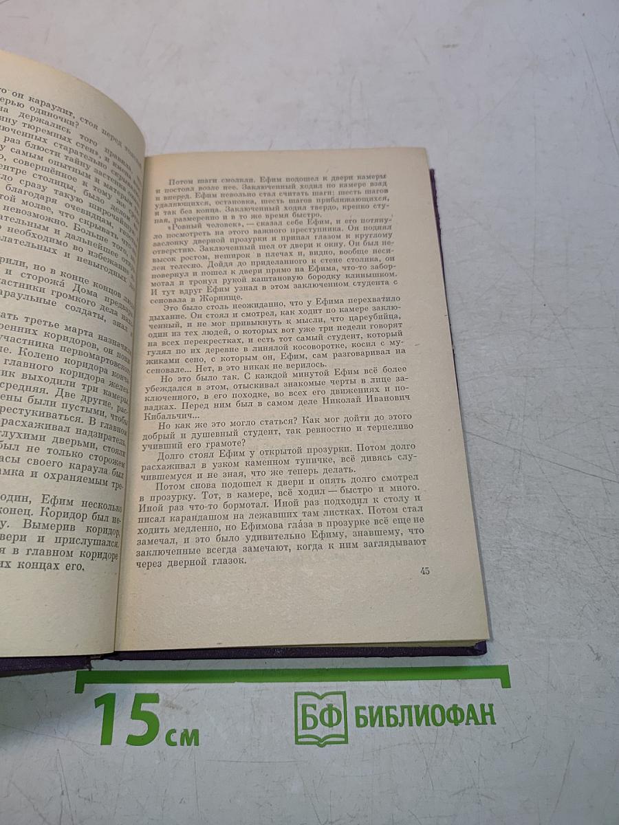 Как мимолетное виденье