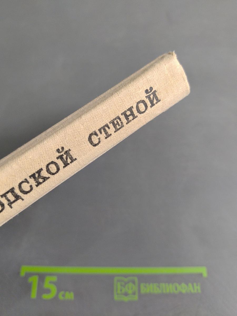 За городской стеной