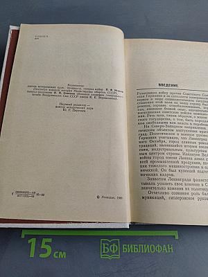Лужский рубеж. Год 1941-й