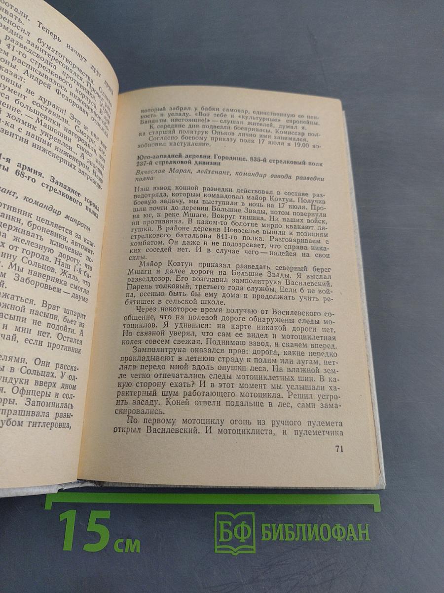 Лужский рубеж. Год 1941-й