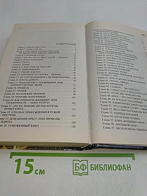 Путешествие идиота