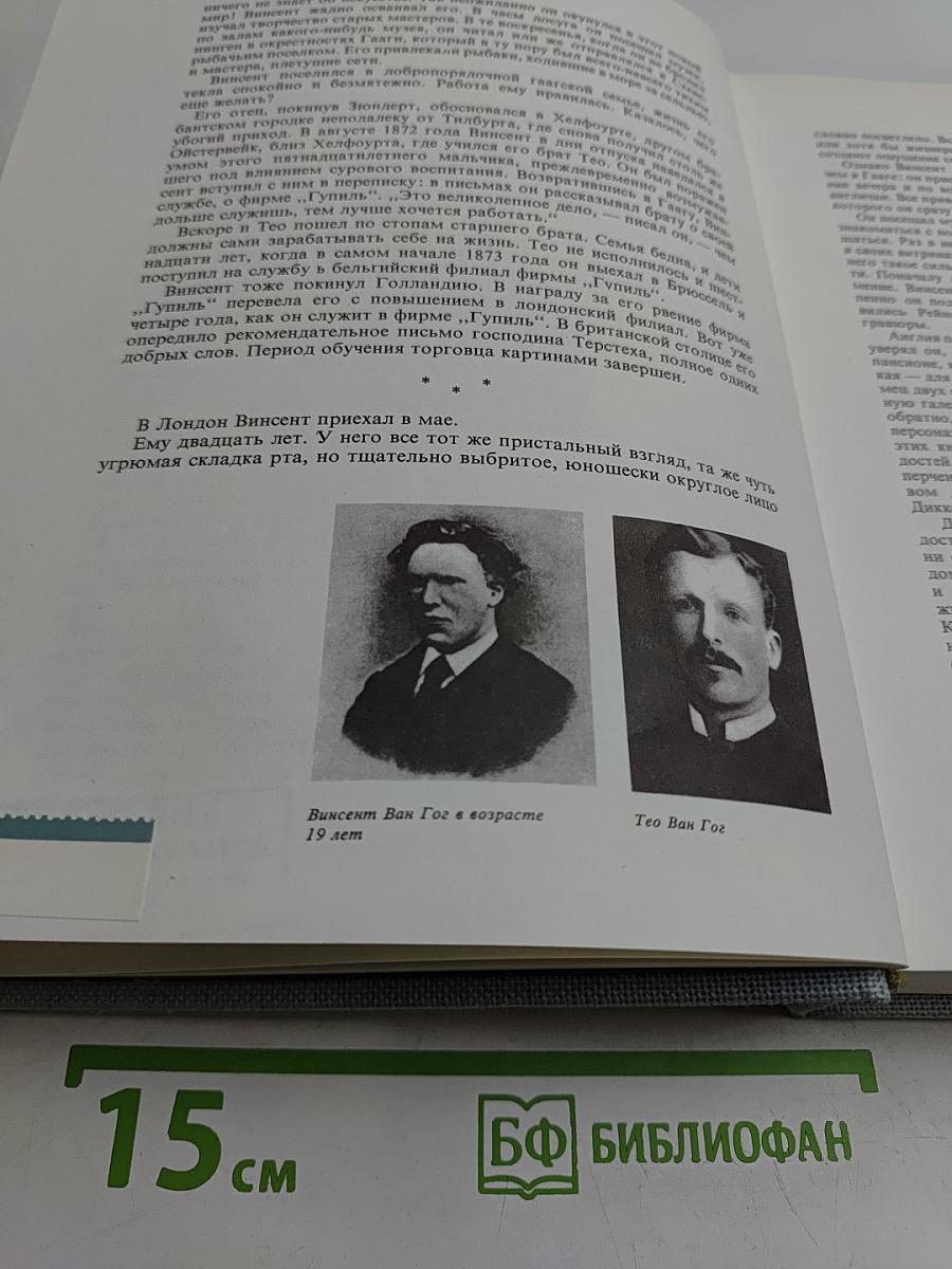 Жизнь Ван Гога