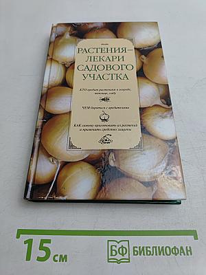 Растения – лекари садового участка