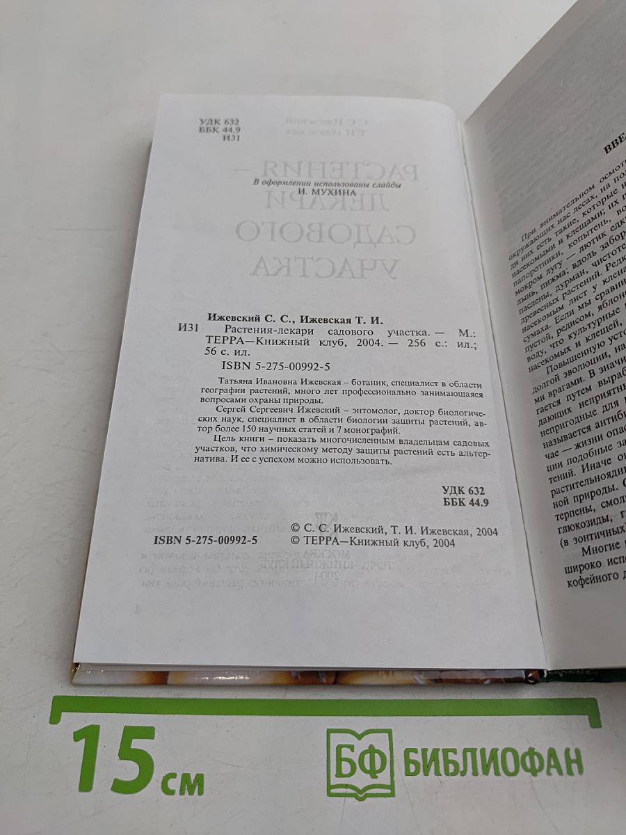 Растения – лекари садового участка