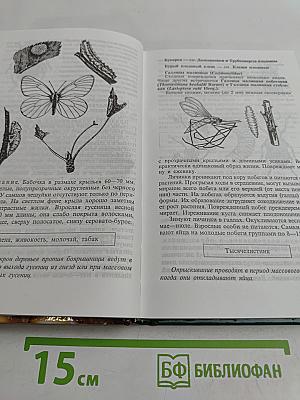 Растения – лекари садового участка