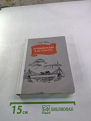 Чернышевский в Петербурге