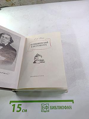 Чернышевский в Петербурге