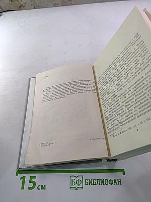 Чернышевский в Петербурге