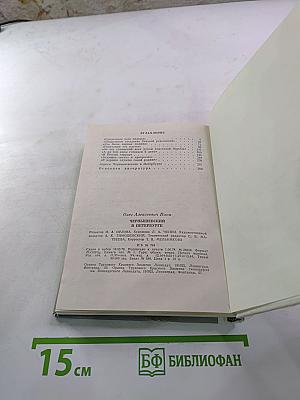 Чернышевский в Петербурге