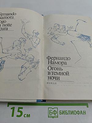 Огонь в темной ночи