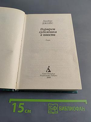 Портрет художника в юности