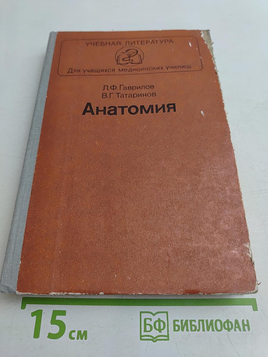 Анатомия
