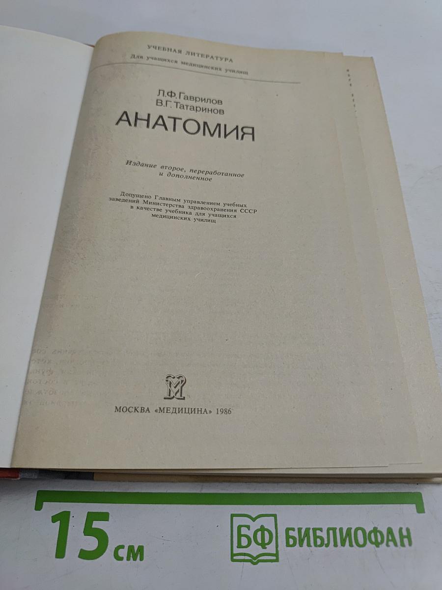 Анатомия
