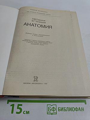 Анатомия