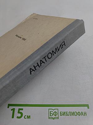Анатомия