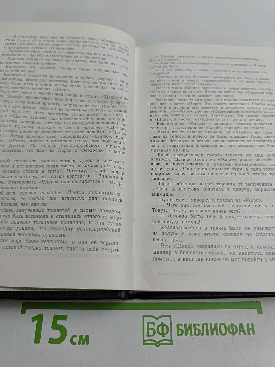В прекрасном и яростном мире. Повести. Рассказы