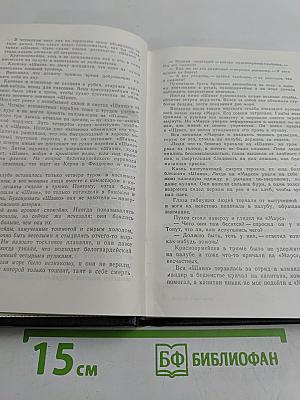 В прекрасном и яростном мире. Повести. Рассказы