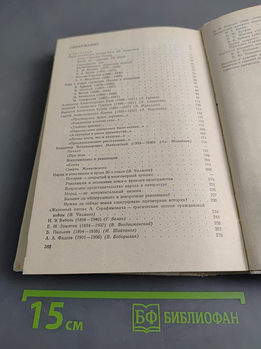 Русская литература XX века. Очерки. Портреты. Эссе. Часть 1