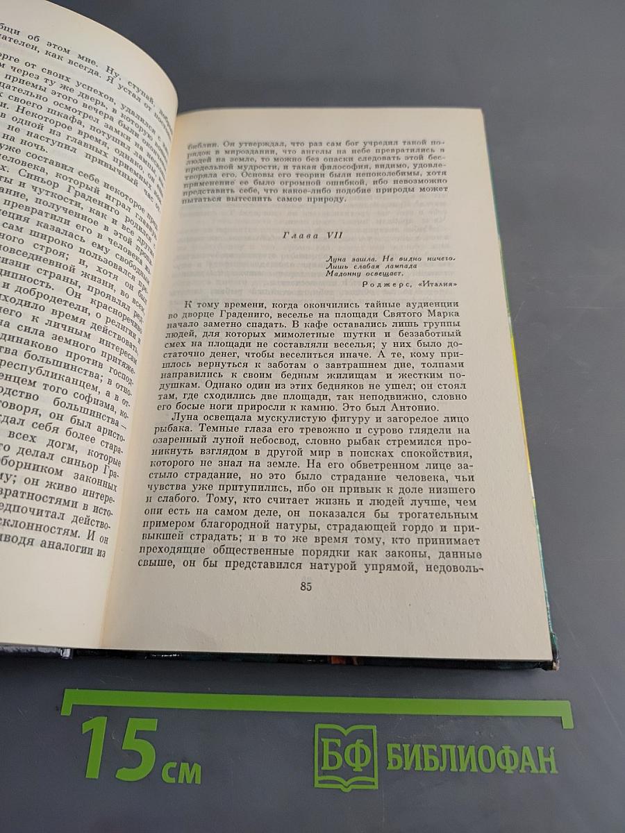 Браво, или в Венеции. Избранные сочинения. Том 5. Книга первая