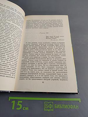 Браво, или в Венеции. Избранные сочинения. Том 5. Книга первая