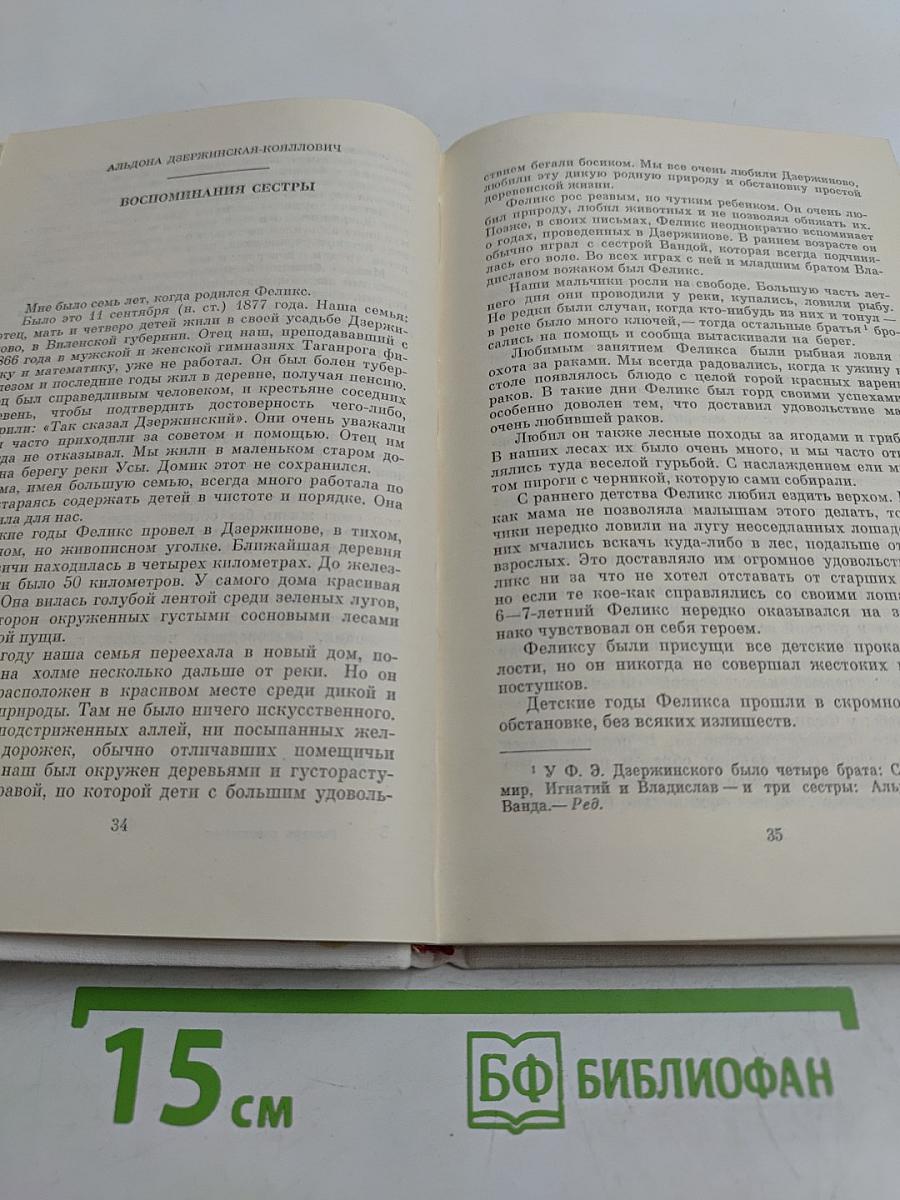 Рыцарь революции