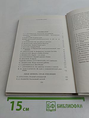 Рыцарь революции