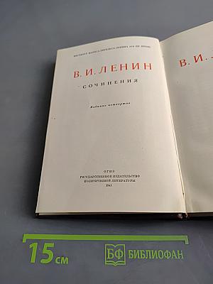 Сочинения. Том 1. 1893-1894