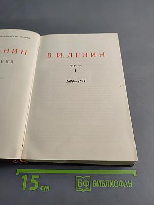 Сочинения. Том 1. 1893-1894