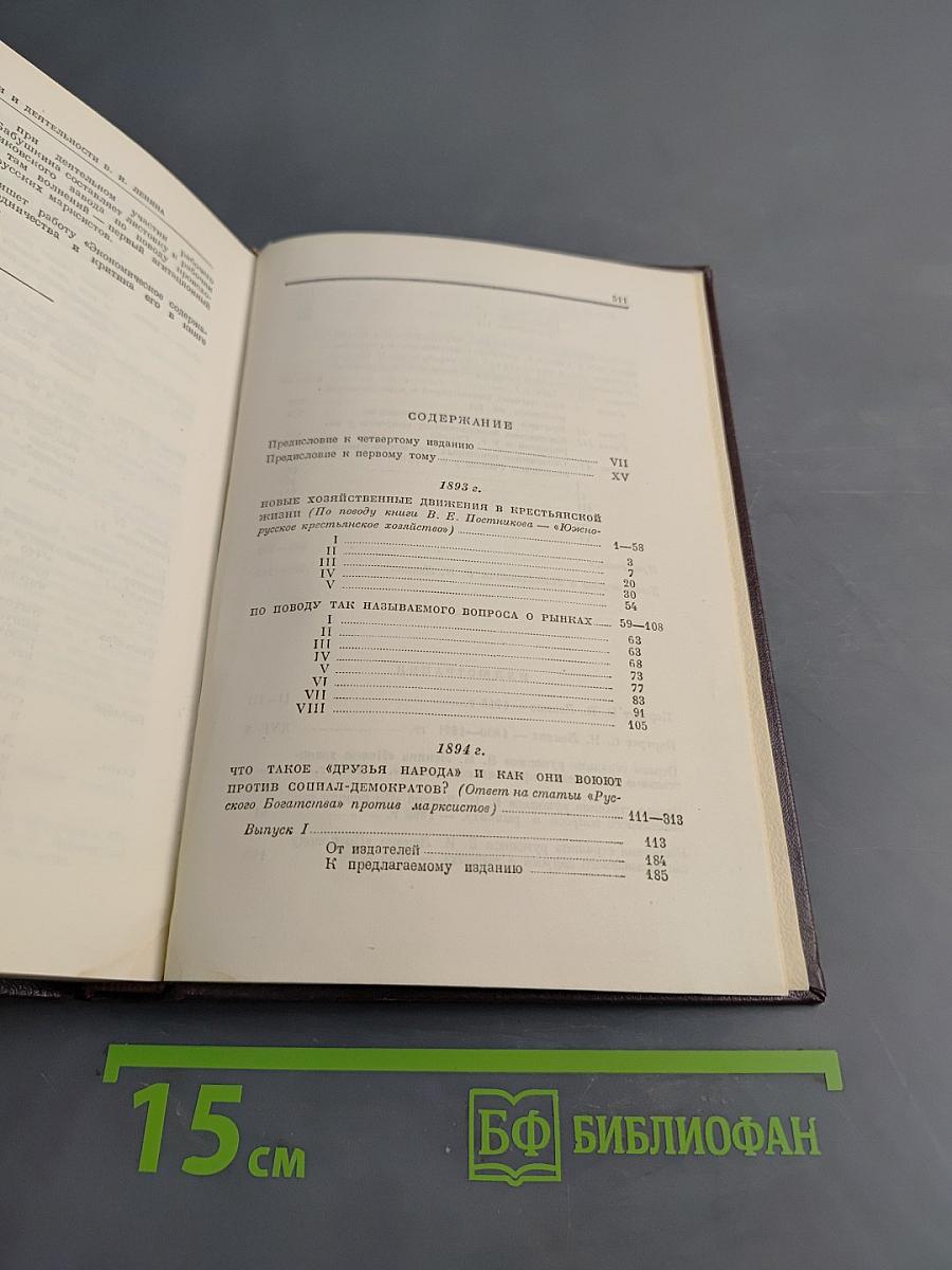 Сочинения. Том 1. 1893-1894