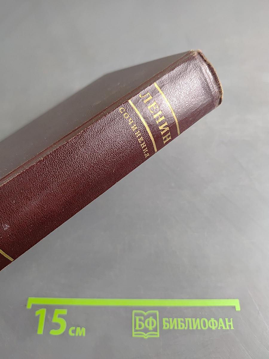 Сочинения. Том 1. 1893-1894