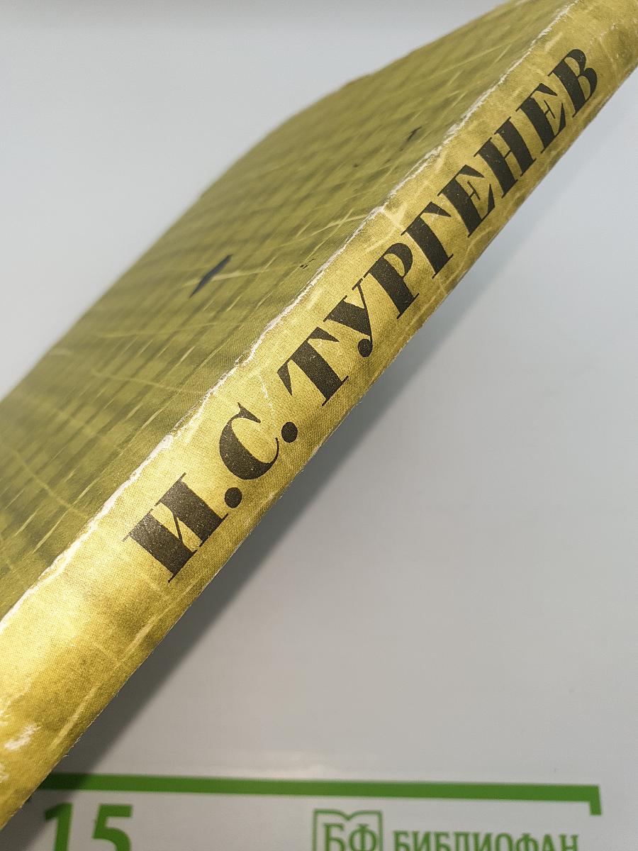 Собрание сочинений. Том второй: Рудин. Дворянское гнездо