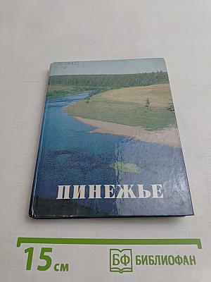 Пинежье. Путешествие по реке Пинеге