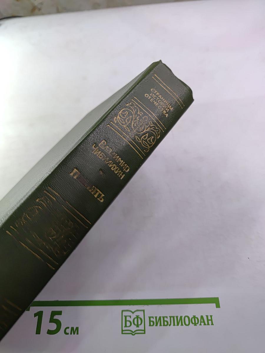 Память. Книга вторая