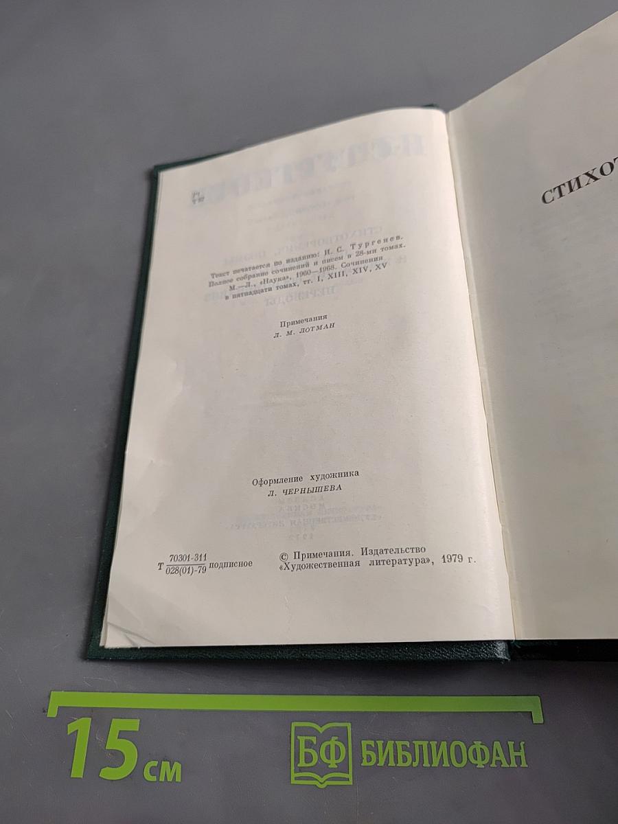 Стихотворения, поэмы, литературные и житейские воспоминания. Переводы. Том одиннадцатый