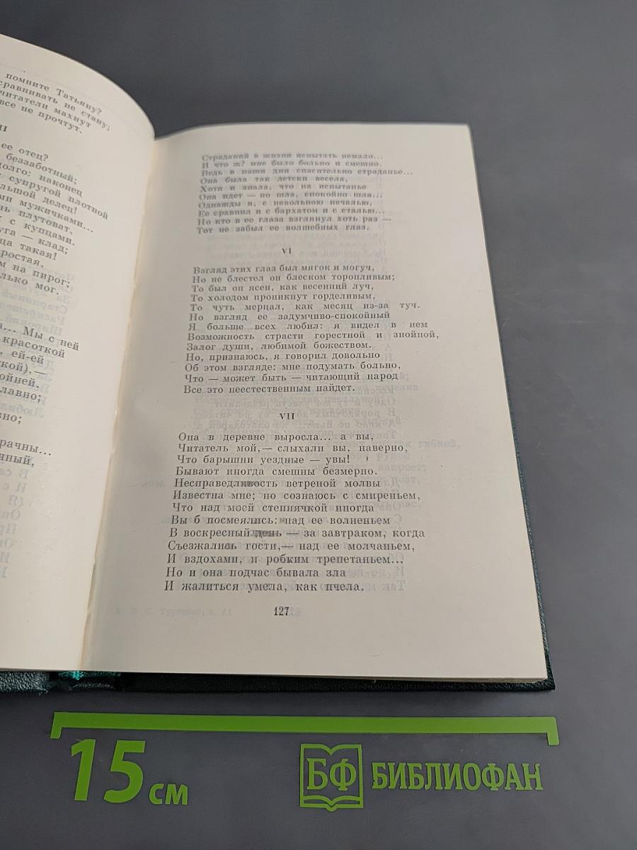 Стихотворения, поэмы, литературные и житейские воспоминания. Переводы. Том одиннадцатый