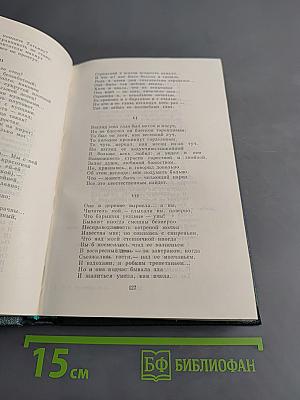 Стихотворения, поэмы, литературные и житейские воспоминания. Переводы. Том одиннадцатый