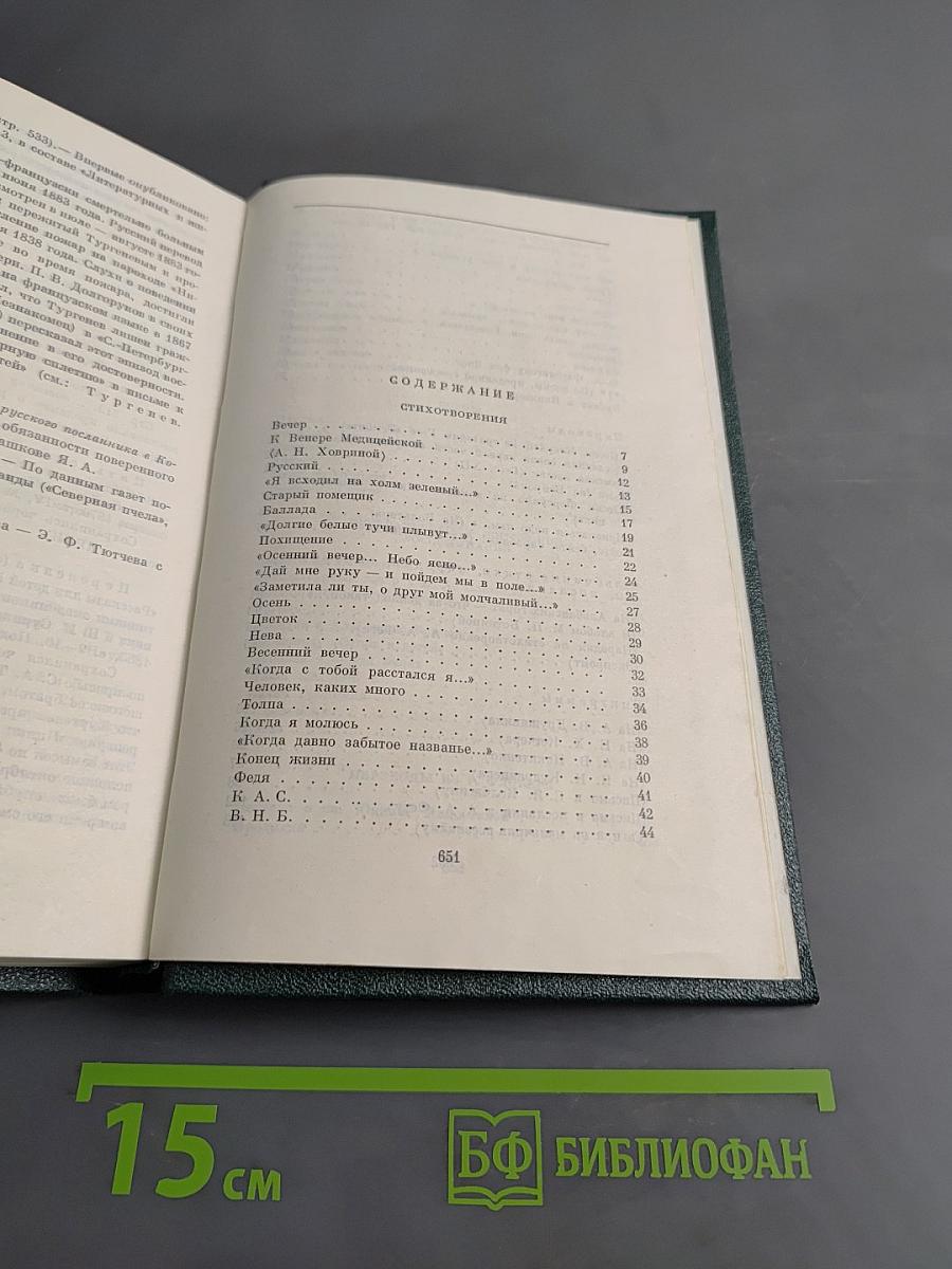 Стихотворения, поэмы, литературные и житейские воспоминания. Переводы. Том одиннадцатый