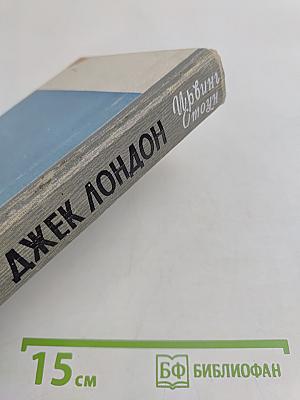 МорЯк в седле. Биография Джека Лондона