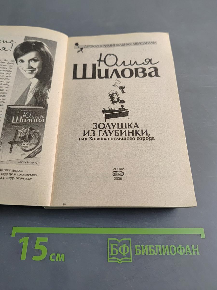 Золушка из глубинки, или Хозяйка большого города
