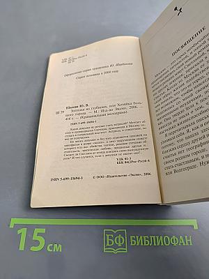 Золушка из глубинки, или Хозяйка большого города